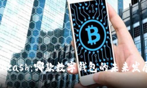 ImToken与Kcash：哪款数字钱包的未来发展更具潜力？