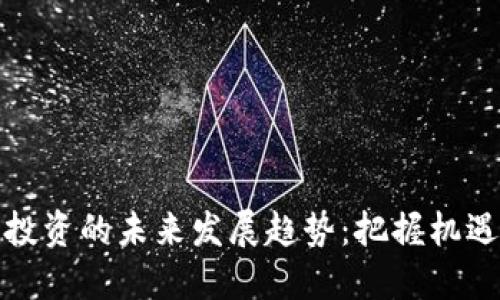 虚拟币投资的未来发展趋势：把握机遇与风险