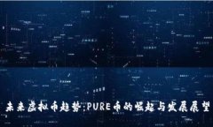 未来虚拟币趋势：PURE币的崛起与发展展望