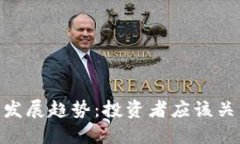 虚拟币MF的未来发展趋势：投资者应该关注哪些关