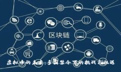 虚拟币的未来：多国禁令下的挑战与机遇