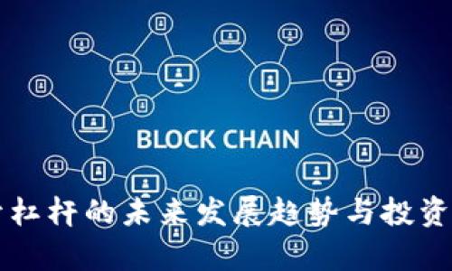 虚拟币开杠杆的未来发展趋势与投资风险分析