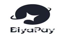 盘古虚拟币立案：未来数字货币法律框架的发展