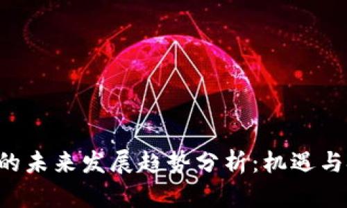 虚拟币C的未来发展趋势分析：机遇与挑战并存