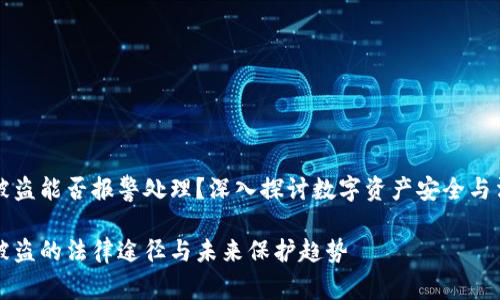 虚拟币被盗能否报警处理？深入探讨数字资产安全与法律保护

虚拟币被盗的法律途径与未来保护趋势