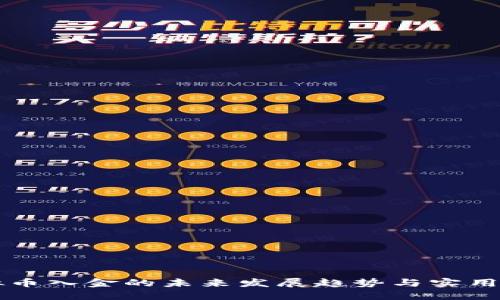 虚拟币入金的未来发展趋势与实用指南