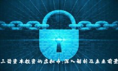 三箭资本投资的虚拟币：深入解析及未来前景