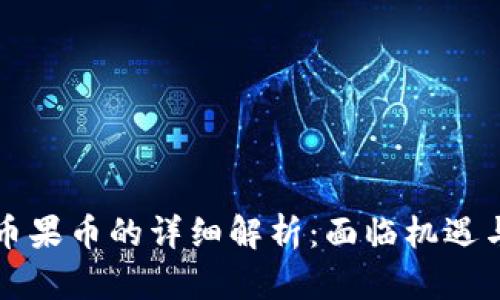 虚拟币果币的详细解析：面临机遇与挑战