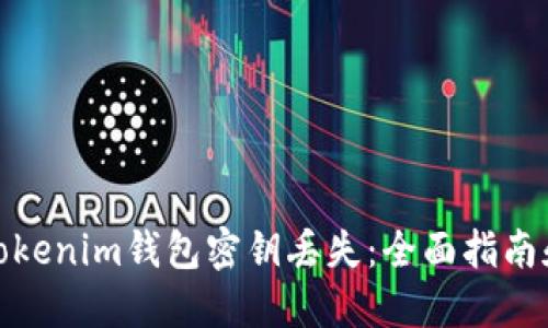 如何应对Tokenim钱包密钥丢失：全面指南和解决策略