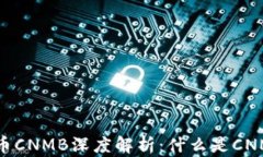 虚拟币CNMB深度解析：什么是CNMB币？