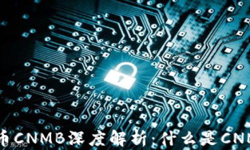 
虚拟币CNMB深度解析：什么是CNMB币？