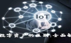 虚拟币与数字资产的区别：全面解析与理解