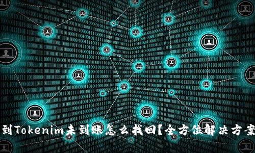 提币到Tokenim未到账怎么找回？全方位解决方案解析