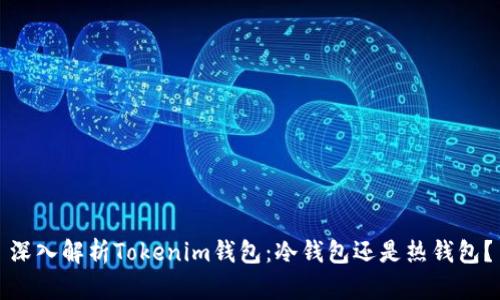 深入解析Tokenim钱包：冷钱包还是热钱包？