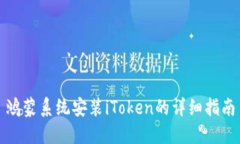 鸿蒙系统安装iToken的详细指南