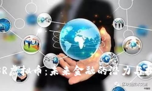 MSR虚拟币：未来金融的潜力与挑战