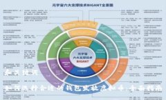 和关键词如何选择合适的钱包发放虚拟币：全面