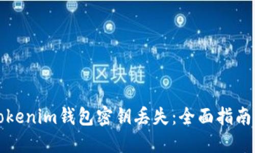 如何应对Tokenim钱包密钥丢失：全面指南与解决方案
