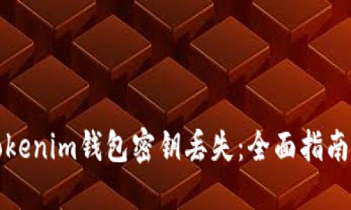 如何应对Tokenim钱包密钥丢失：全面指南与解决方案