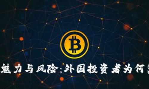 虚拟币的魅力与风险：外国投资者为何集体涌入？