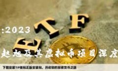 年份:2023老狼赵旭及其虚拟币项目深度解析