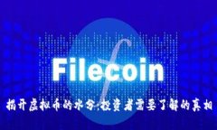 揭开虚拟币的水分：投资者需要了解的真相