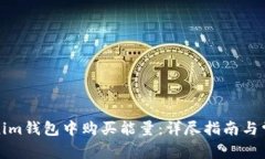 如何在Tokenim钱包中购买能量：详尽指南与常见问