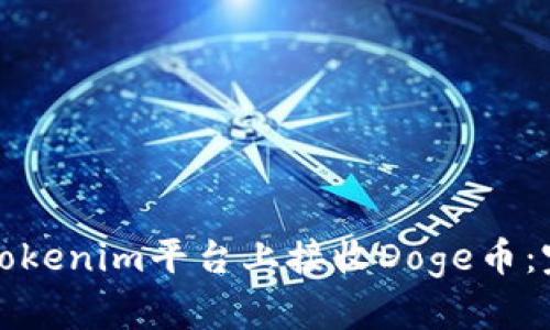 如何在Tokenim平台上接收Doge币：完整指南