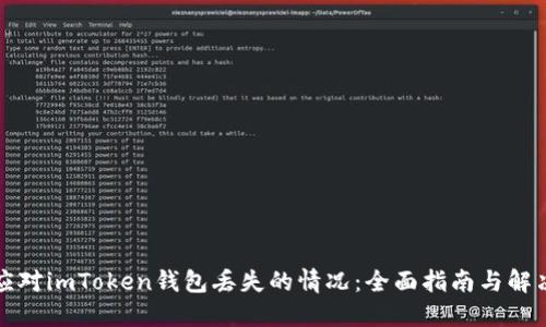 如何应对imToken钱包丢失的情况：全面指南与解决方案