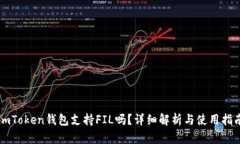 imToken钱包支持FIL吗？详细解析与使用指南
