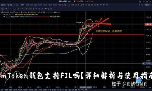 imToken钱包支持FIL吗？详细解析与使用指南
