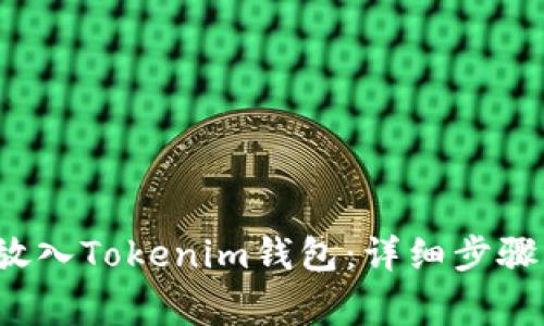 如何将FIL放入Tokenim钱包：详细步骤与注意事项