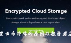 虚拟币星云币停牌的原因及投资者应对策略