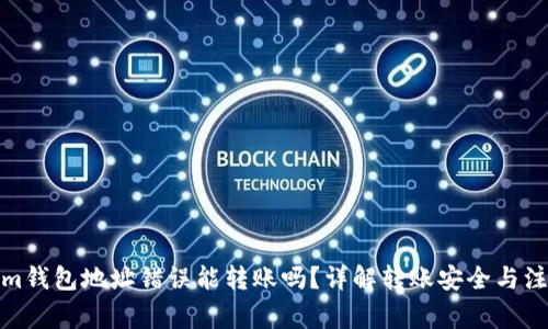 Tokenim钱包地址错误能转账吗？详解转账安全与注意事项