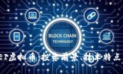 全面解析REI虚拟币：投资前景、技术特点与市场