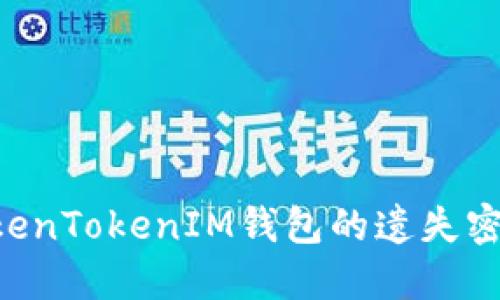 如何找回TokenTokenIM钱包的遗失密钥：详细指南