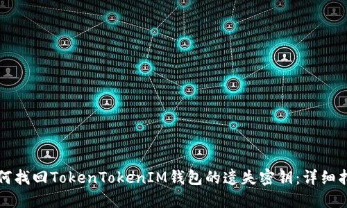 如何找回TokenTokenIM钱包的遗失密钥：详细指南