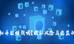 炒虚拟币能赚钱吗？揭秘风险与收益的真相