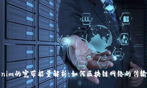 Tokenim的宽带能量解析：如何区块链网络的传输效果