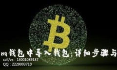 如何在Tokenim钱包中导入钱包：详细步骤与常见问
