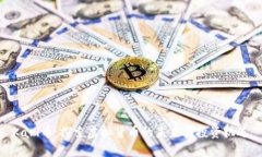 Karl币：探索虚拟货币的未来与投资机遇