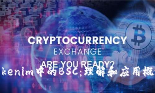 Tokenim中的BSC：理解和应用概述