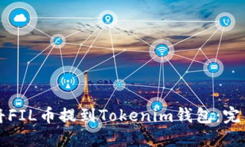 如何将FIL币提到Tokenim钱包：完整指南