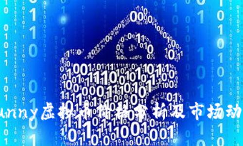Sunny虚拟币价格分析及市场动向