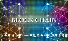 全面解析：imToken钱包在国内的应用与前景