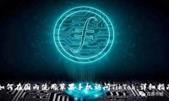 如何在国内使用苹果手机访问TikTok：详细指南