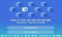   全面解析XTM虚拟币：投资前景、市场动态与风险