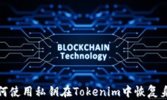 如何使用私钥在Tokenim中恢复身份