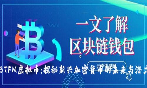 BTFM虚拟币：探秘新兴加密货币的未来与潜力