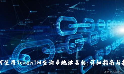 如何使用TokenIM查询币地址名称：详细指南与技巧